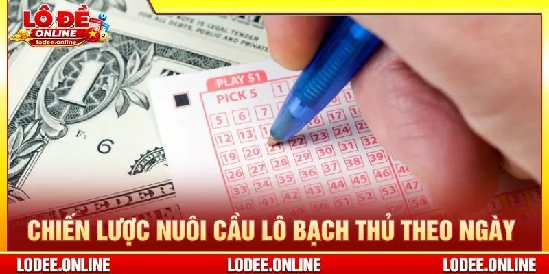 Chiến lược nuôi cầu lô bạch thủ theo ngày