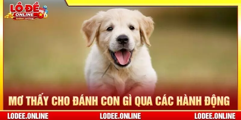 Mơ thấy cho đánh con gì qua các hành động