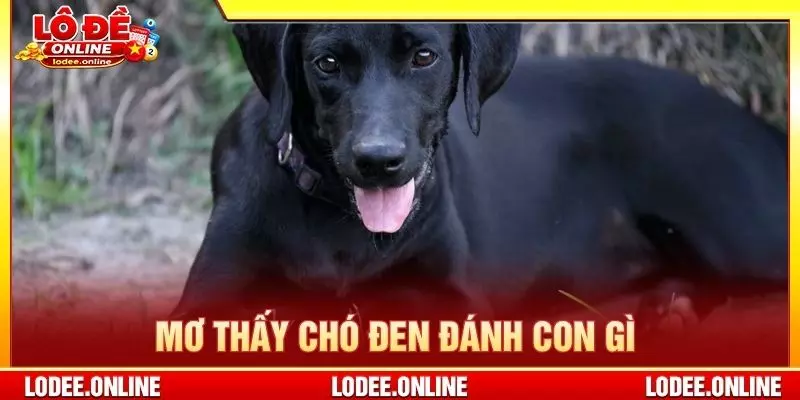 Mơ thấy chó đen đánh con gì