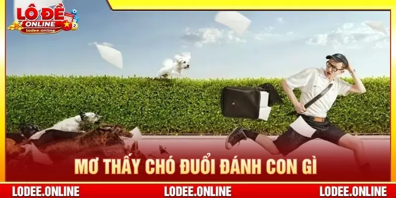 Mơ thấy chó đuổi đánh con gì
