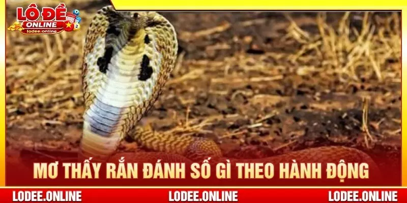 Mơ thấy rắn đánh số gì theo hành động