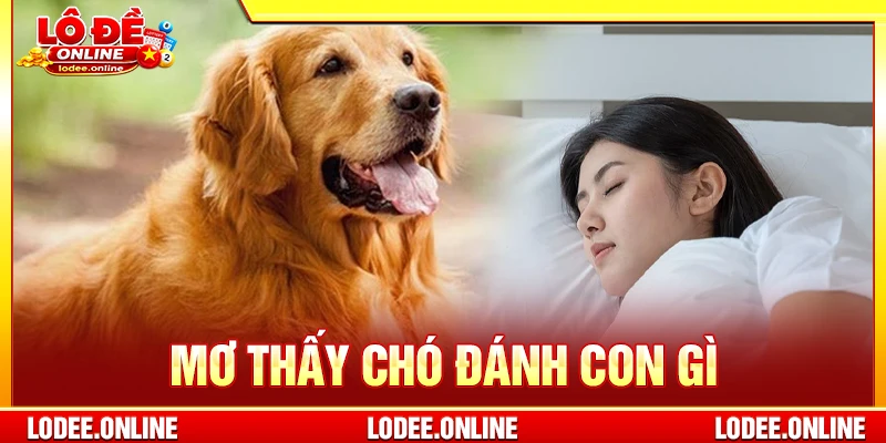 Mơ thấy chó đánh con gì