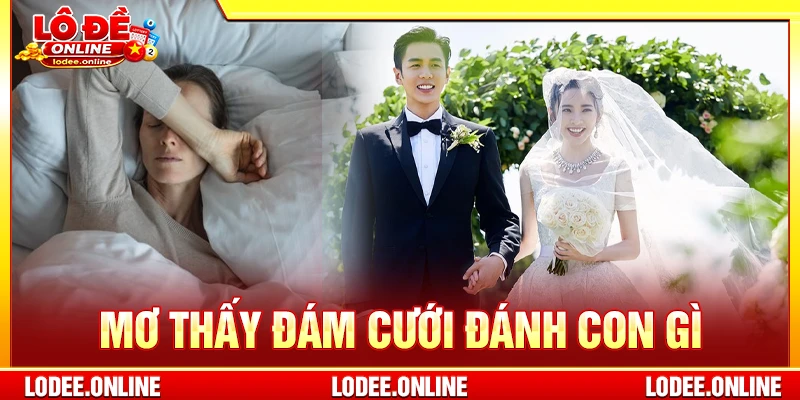 Mơ thấy đám cưới đánh con gì