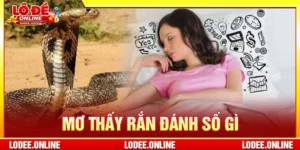 Mơ thấy rắn đánh số gì