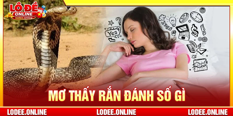 Mơ thấy rắn đánh số gì