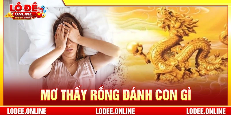 Mơ thấy rồng đánh con gì