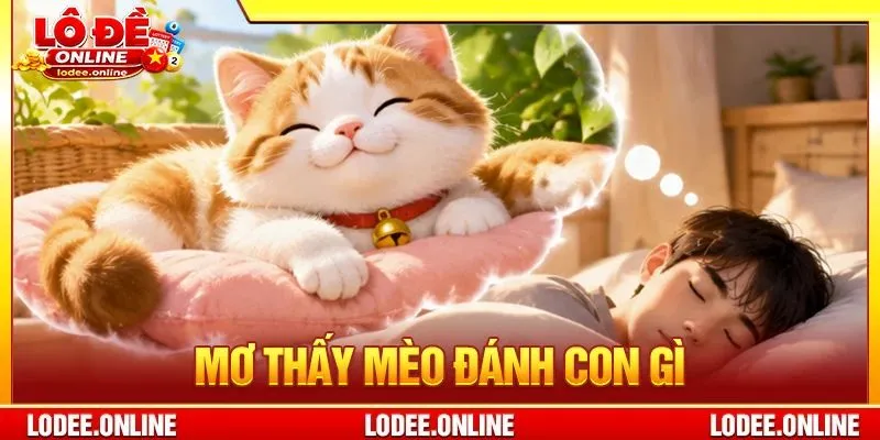 Mơ Thấy Mèo Đánh Con Gì? 10+ Bộ Số Nên Chốt Khi Mơ Gặp Mèo