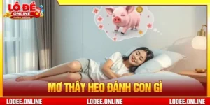 Mơ Thấy Heo Đánh Con Gì? 5+ Giải Mã Giấc Mơ Thấy Heo Kì Lạ