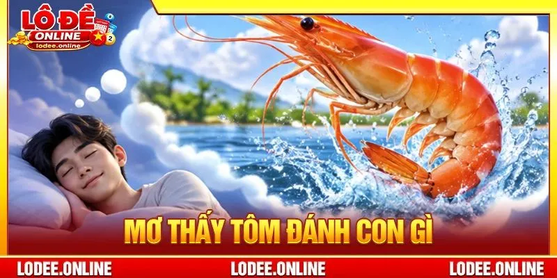 ơ Thấy Tôm Đánh Con Gì? Giấc Mơ Con Tôm Đánh Gì Ăn Đậm?